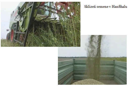 sklsem